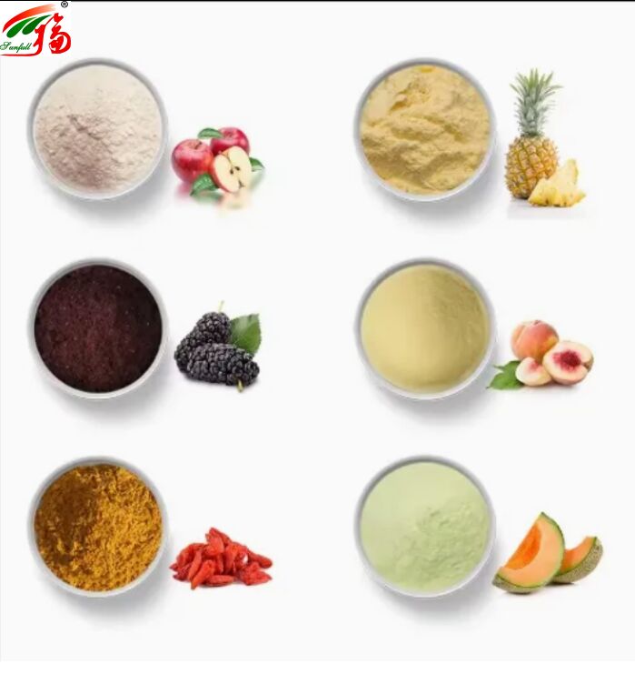 Ingredientes de frutas, alimentos saudáveis, alta qualidade, bom sabor e solubilidade em água, bebidas liofilizadas em pó, diversas frutas em pó