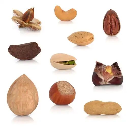 (Sabor e aroma autênticos / Rico em proteínas e gorduras saudáveis) Ingredientes naturais premium para alimentos e bebidas Nozes/amendoins/castanhas de caju/amêndoas/aveia/avelã em pó
