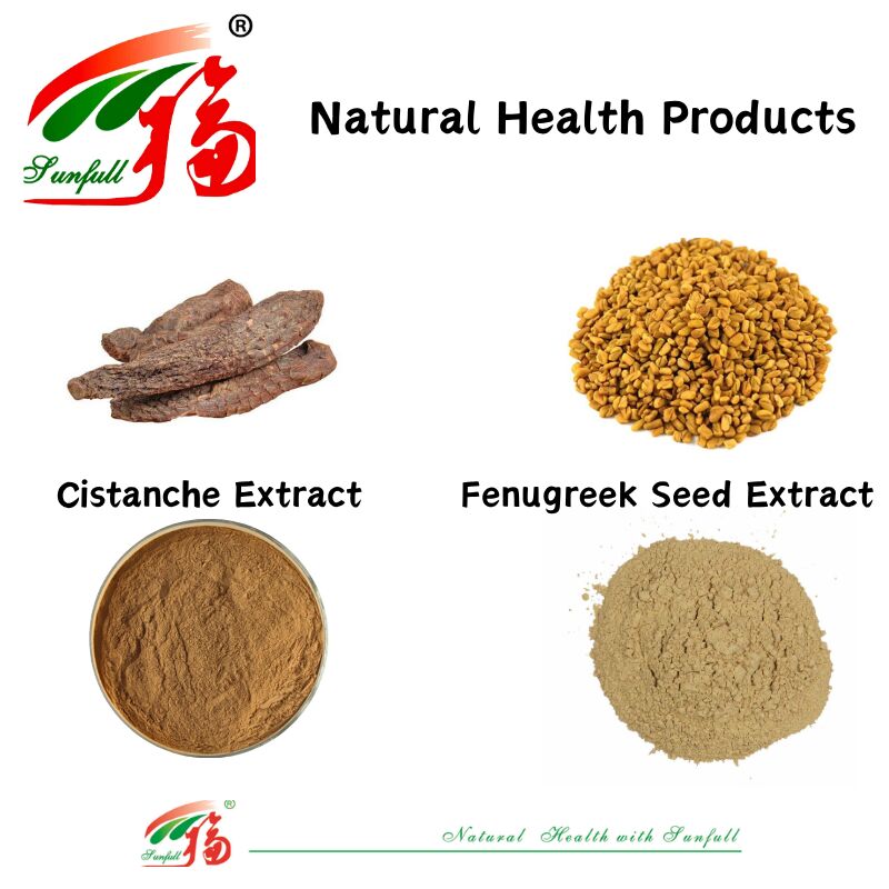 Promover a Saúde dos Homens Extracto Natural de Sementes de Feno-grego de Alta Qualidade Saponinas 20% / Glicosídeos Feniletanoides 40% / Equinacosida 8% Extracto de Cistanche
