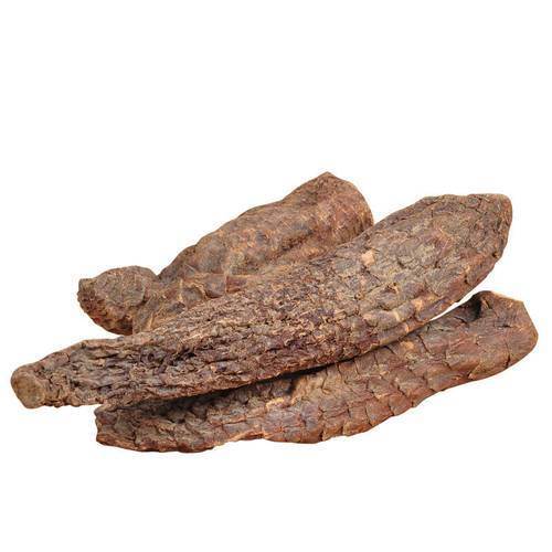 Promover a Saúde dos Homens Extracto Natural de Sementes de Feno-grego de Alta Qualidade Saponinas 20% / Glicosídeos Feniletanoides 40% / Equinacosida 8% Extracto de Cistanche