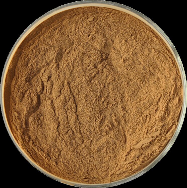 Promover a Saúde dos Homens Extracto Natural de Sementes de Feno-grego de Alta Qualidade Saponinas 20% / Glicosídeos Feniletanoides 40% / Equinacosida 8% Extracto de Cistanche