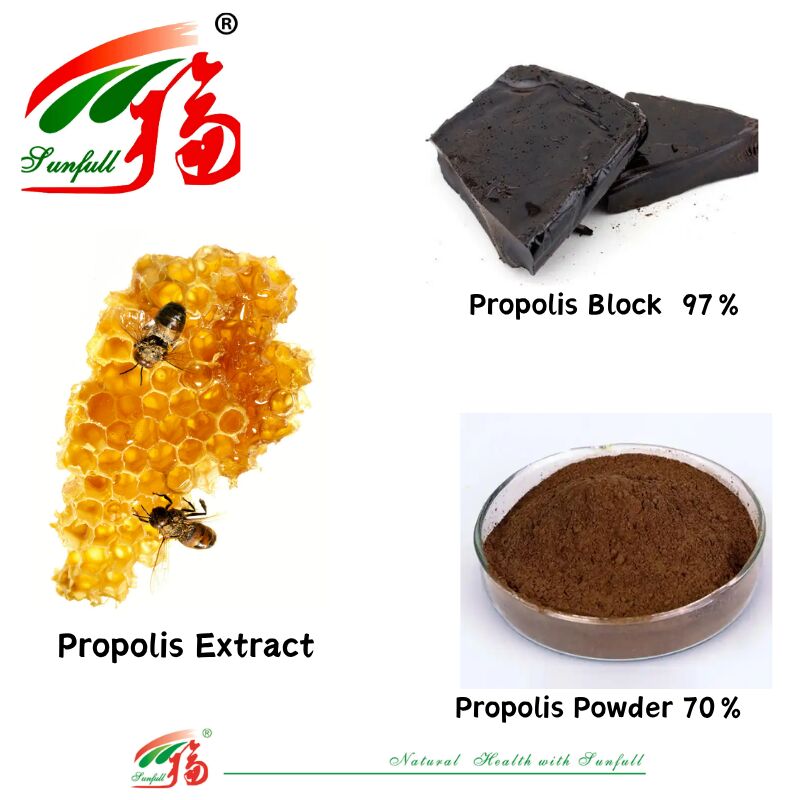 Suplementos dietéticos/Farmacêuticos ricos em flavonóides 10%-20% Propólio hidrossolúvel Bloco 97% / Pó de Propólio 70% Extrato de Propólio