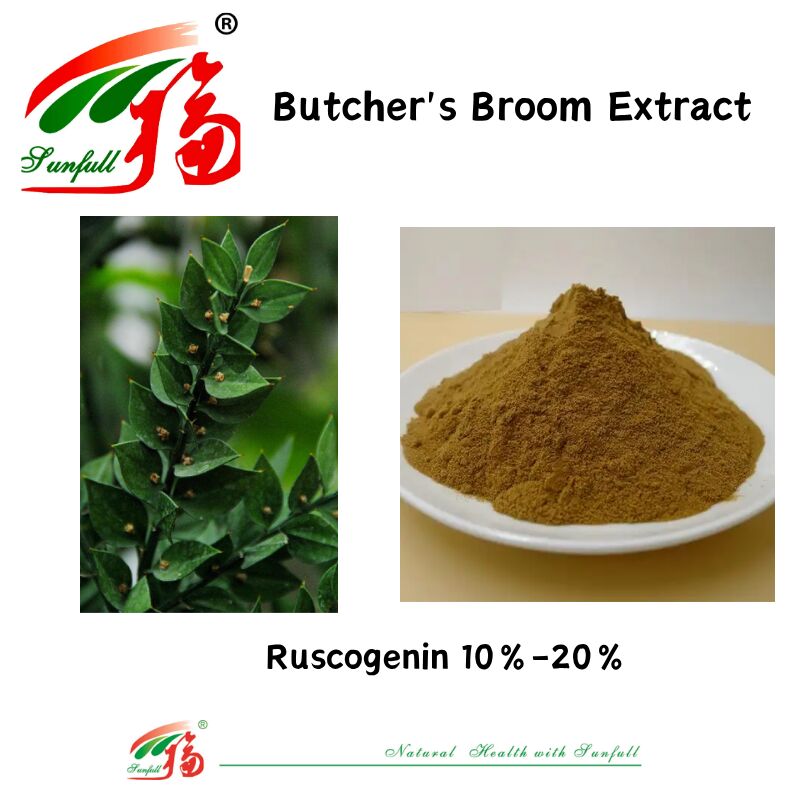 Extrato de raiz de ruscus aculeatus, preço de fábrica de alta qualidade, 10%-20%, extrato de vassoura de açougueiro ruscogenina