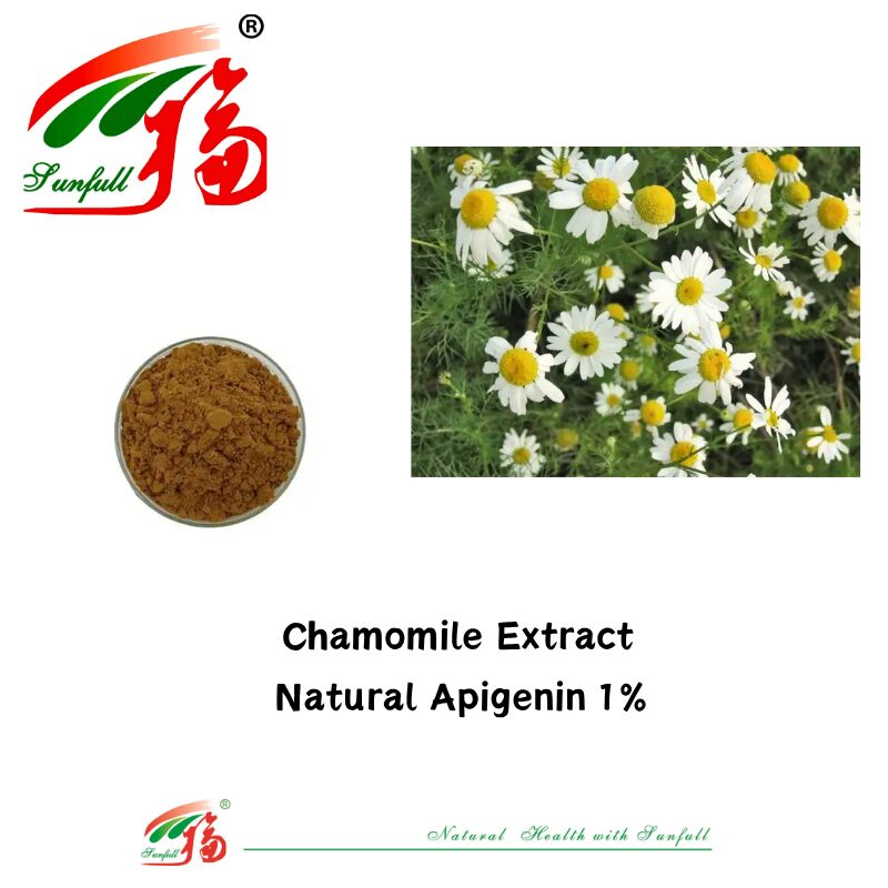 Extrato de semente de aipo 100% natural 98% apigenina em pó CAS 520-36-5 Apigenina de alta qualidade 1% extrato de camomila