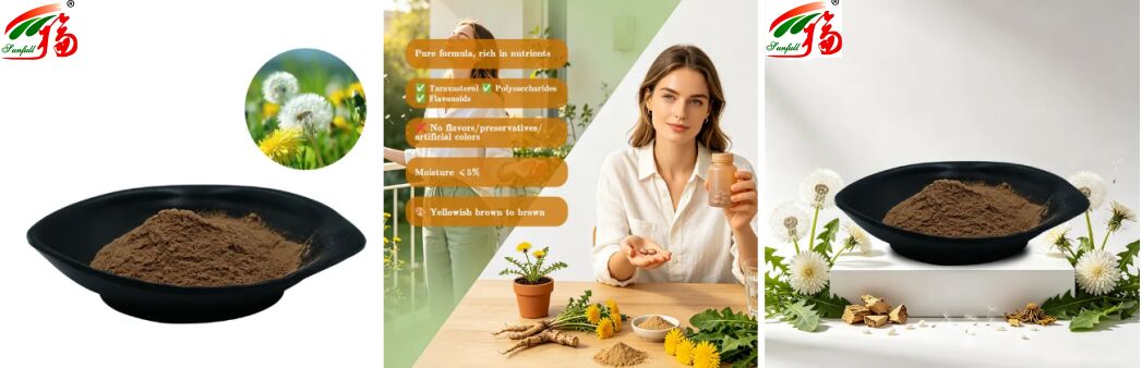 Grado Alimentar Pimentão Erva Extracto de Folhas de Pimentão Pó Flavonóides Naturais 5%-10% Extracto de Pimentão Orgânico