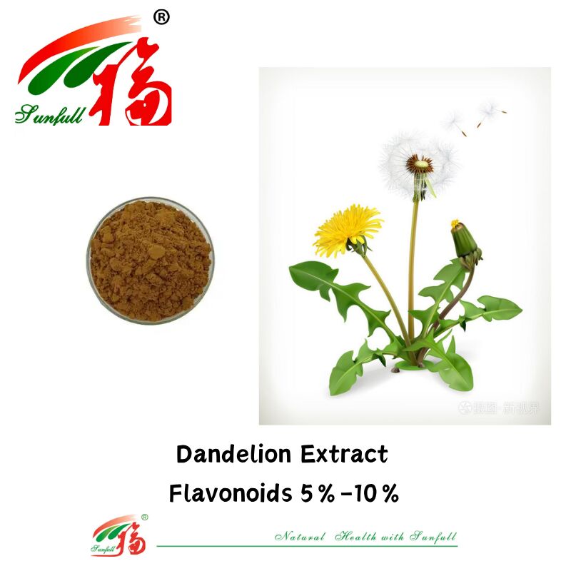 Grado Alimentar Pimentão Erva Extracto de Folhas de Pimentão Pó Flavonóides Naturais 5%-10% Extracto de Pimentão Orgânico