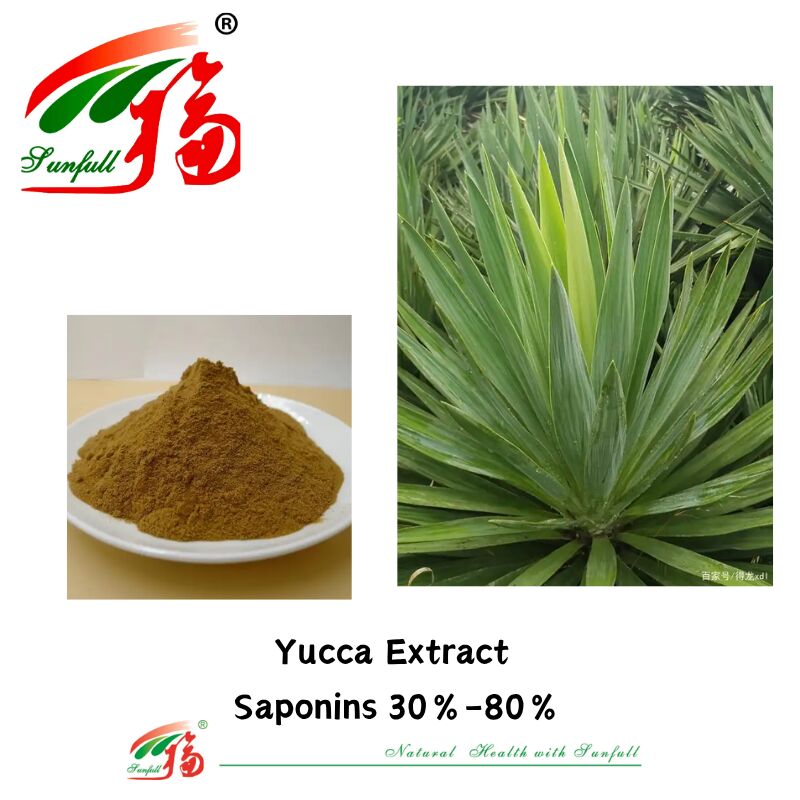 ISO/Kosher Desodorizante Promover a Saúde intestinal Ingrediente de alimentos para animais de estimação 10%-80% Saponinas Extracto de yuca