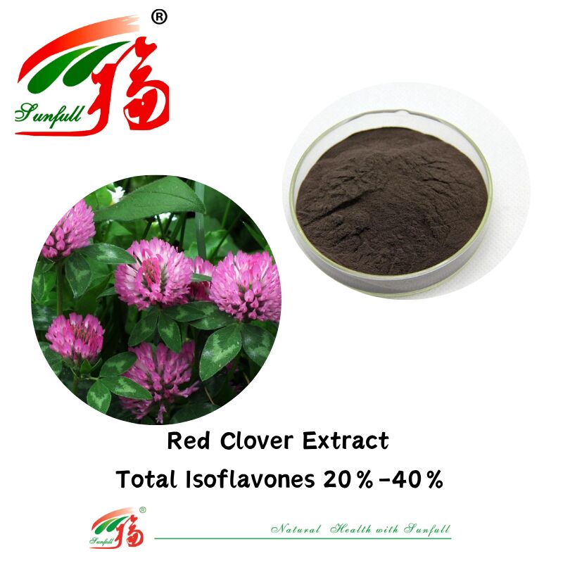 Hunan Sunfull para equilíbrio hormonal e alívio Suplementos de saúde puramente naturais Total de isoflavonas orgânicas 20%-40% Extracto de trevo vermelho