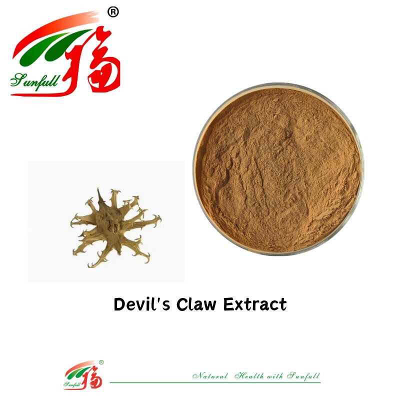 Natural Pure CAS 19210-12-9 Harpagophytum Procumbens em pó 5% Harpagosídeo Devils Claw Extract