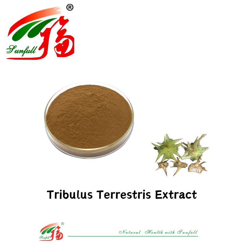 China Fábrica Venda Quente Homem Saúde Grau Alimentar Extracto de Tribulus Amostra Grátis Extracto de Tribulus Terrestris Púrpura 40%-90% Saponinas