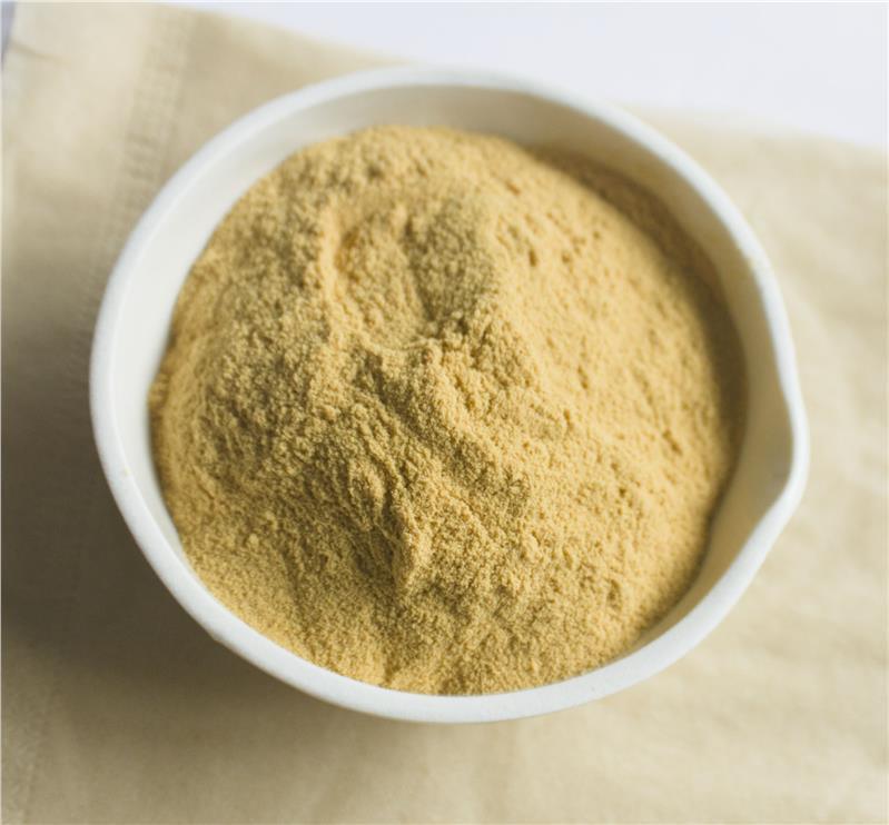 Fornecimento de fábrica Hemostase Suplementos dietéticos 10% 40% 80% Notoginsenosides Panax Notoginseng Extracto de raiz