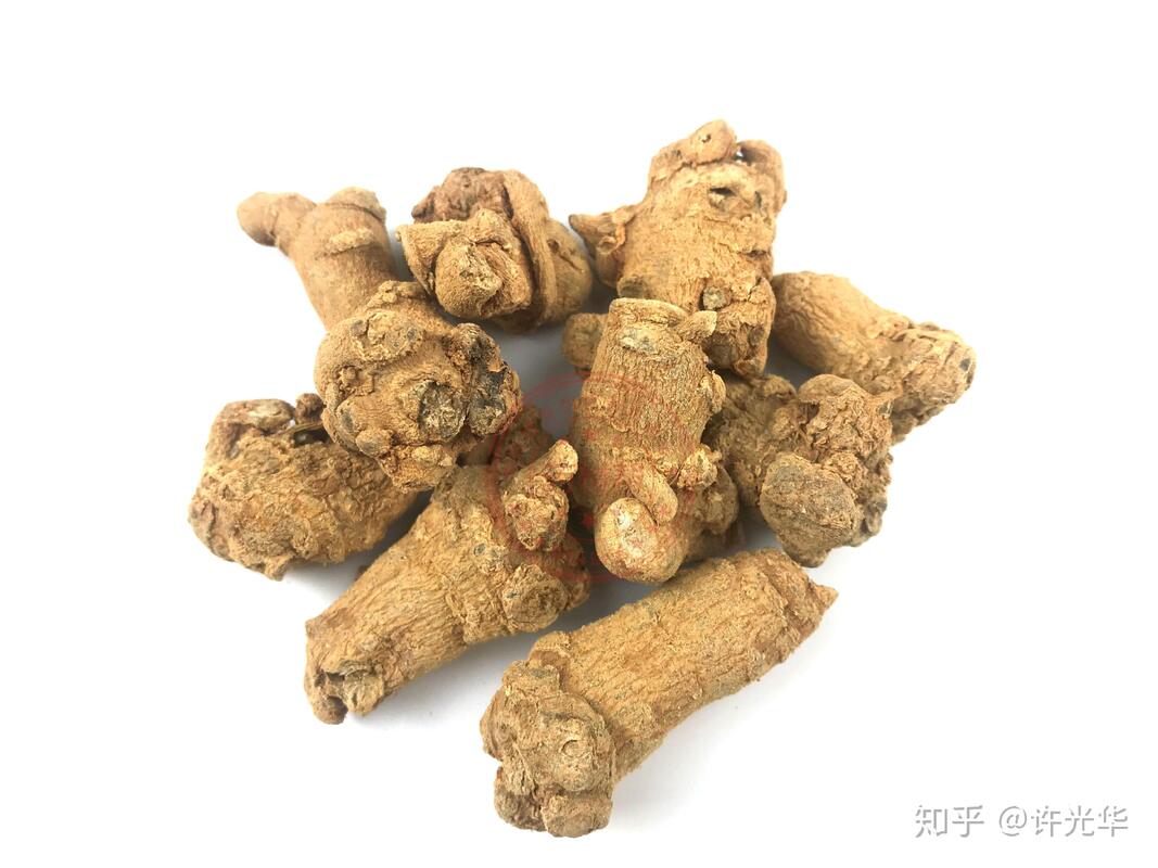 Fornecimento de fábrica Hemostase Suplementos dietéticos 10% 40% 80% Notoginsenosides Panax Notoginseng Extracto de raiz