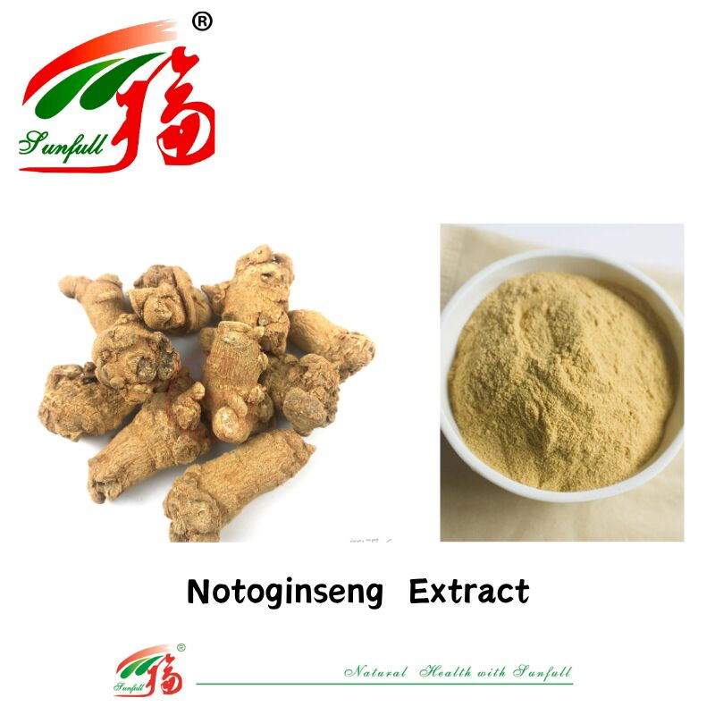 Fornecimento de fábrica Hemostase Suplementos dietéticos 10% 40% 80% Notoginsenosides Panax Notoginseng Extracto de raiz