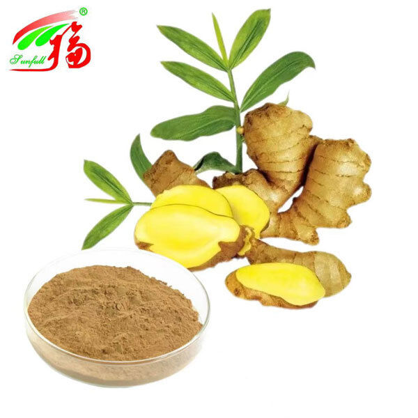 Ginger Extract Ginger Root Extract Gingerols 10% 5% 1% Conforto digestivo Suporte respiratório e mobilidade articular