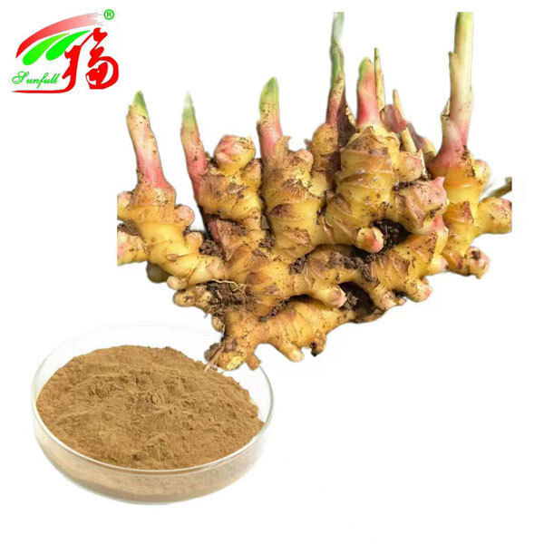 Ginger Extract Ginger Root Extract Gingerols 10% 5% 1% Conforto digestivo Suporte respiratório e mobilidade articular
