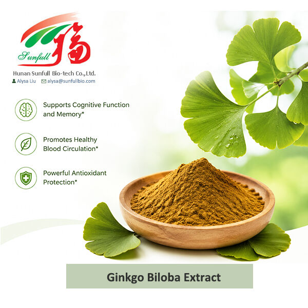 Extracto Natural de Ginkgo Biloba Cp/ USP/ Ep/ Solúvel em água Tipo para suplementos farmacêuticos