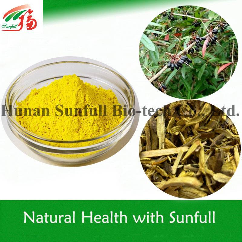 Berberina hcl 97% 98% Pó cristalino amarelo com propriedades antibacterianas e anti-inflamatórias de Phellodendron chinense Extract