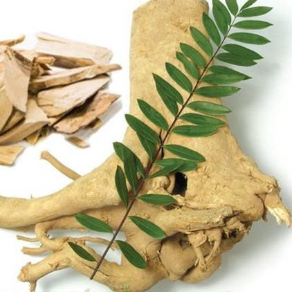 Anti Tongkat viral Ali Supplement 2,5% Eurycomanone Eurycoma longifolia For Fatigue Recovery