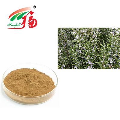 Rosemary Extract 30% Rosmarinic ácido para o Rosmarinus antienvelhecimento Officinalis
