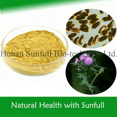 Proteção do fígado Silybum Marianum Extract Certificação ISO 80% Silymarin