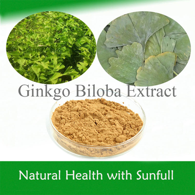 Extracto de Folhas de Ginkgo Biloba 24/6 CAS 90045-36-6 Cp USP561 Ep EC396