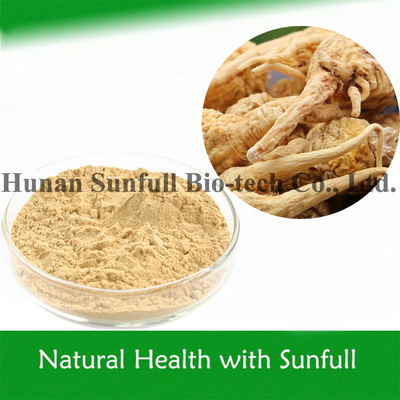 Mens Saúde vegetal Alimentos Extracto de Maca para Nutrição (Lepidium meyenii Walp)