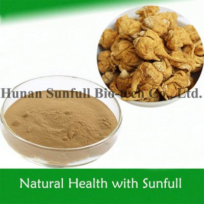 Extracto de raiz de maca em pó amarelo fino e castanho de Lepidium Meyenii Walp Botanical Resource