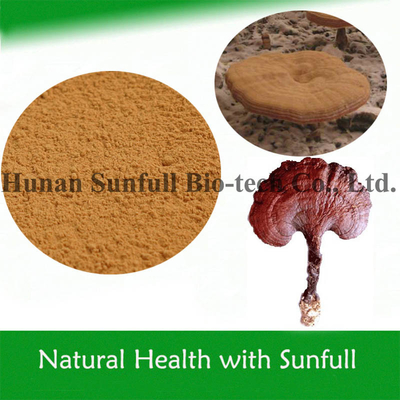 Reishi Ganoderma Extract 10% ~ 50% Polissacarídeos para Melhoria da Imunidade