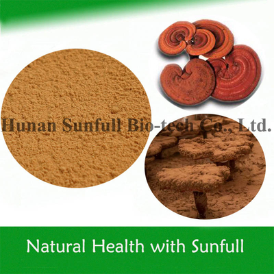 Alimentos de alta qualidade para a saúde Ganoderma Lucidum Extract Reishi em pó