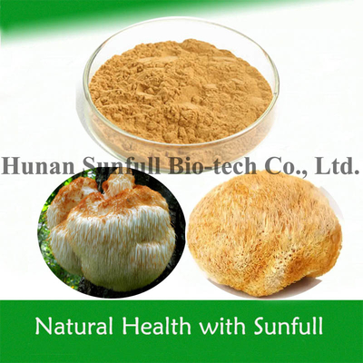 Hericium erinaceus em pó extracto de juba de leão para alimentação saudável