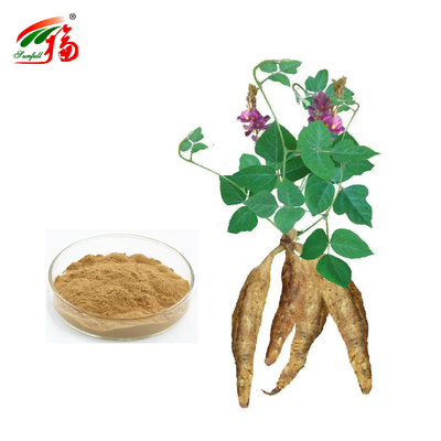Extrato de Raiz de Kudzu Natural da Fábrica da China Puerarina Com 25% 60% 98% Para Opção