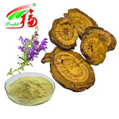 Ingredientes de cuidados de saúde 10%~95% Baicalin Baicalein em pó Scutellaria baicalensis Georgi Extracto Radix Scutellariae Extracto Baikal Skullcap Extract