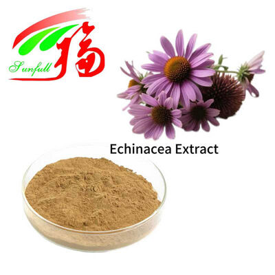 Extrato de Equinácea 4% Polifenóis 1% 4% Ácido Cichórico Equinacosídeo Extrato de Echinacea Purpurea