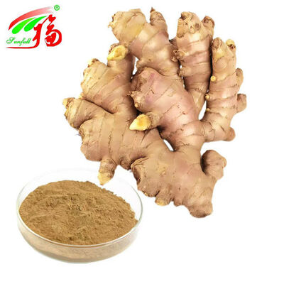 Ginger Extract Ginger Root Extract Gingerols 10% 5% 1% Conforto digestivo Suporte respiratório e mobilidade articular