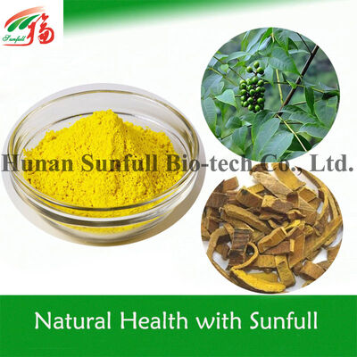 Extrato Antibacteriano Berberina hcl Pó Cristalino Amarelo de espécies de Berberis (Barberry) com Nº CAS 633-65-8