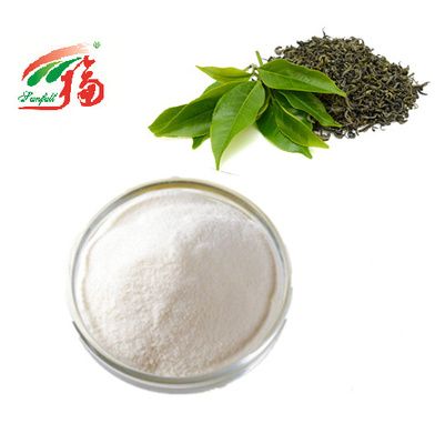 O extrato KOSHER do chá verde pulveriza o galato de 98% EGCG Epigallocatechin para cosméticos