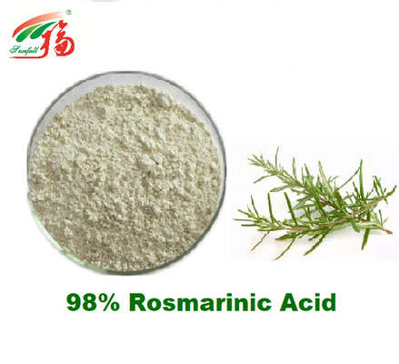 98% Rosmarinic Rosemary Extract Supplement For Antioxidant natural ácida